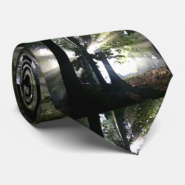 Träd - Solljus genom skogen Slips (Rullad)