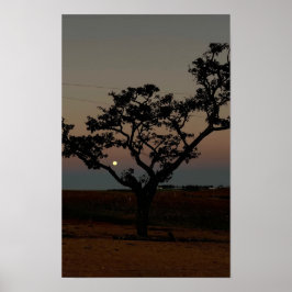 Träd Solnedgång Vägg Natur Fotografi Rustik Hem Poster