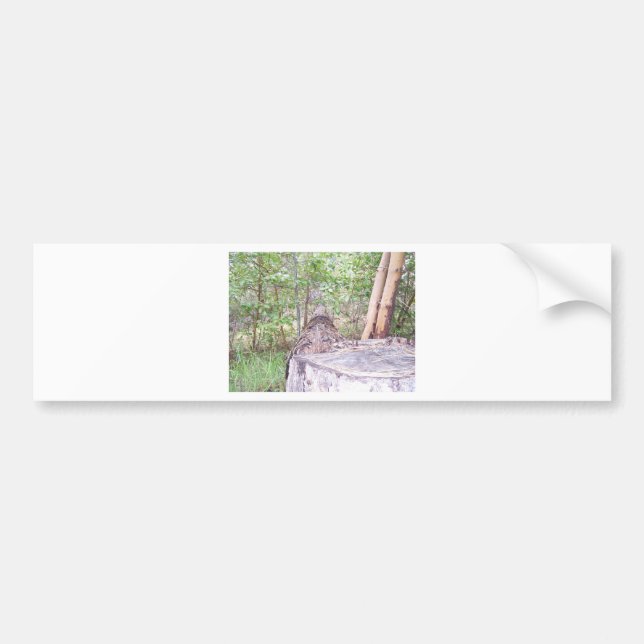Träd som fallit med stubbe i skogen bildekal (Framsidan)