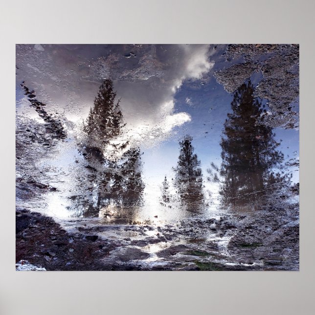 Träd som reflekterar i regnpuddle vatten poster (Framsidan)
