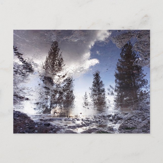 Träd som reflekterar i regnpuddle vatten vykort (Framsida)
