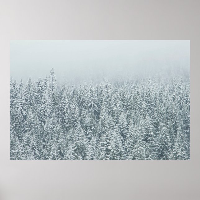 TRÄD SOM TÄCKER SNÖ POSTER (Framsidan)