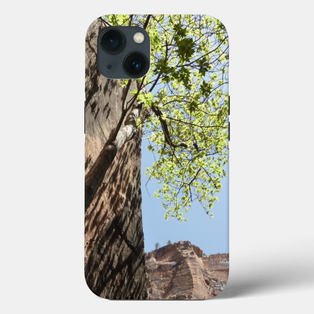 Träd som växer mellan stenar vid Zion National Par (Baksida)