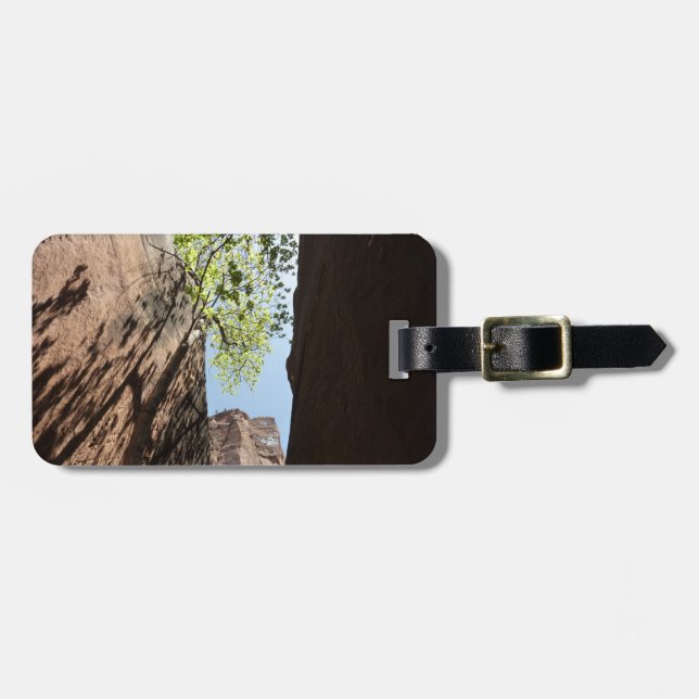 Träd som växer mellan stenar vid Zion National Par Bagagebricka (Horisontell Framsida)