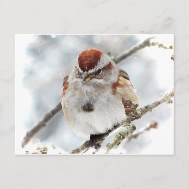 Träd Sparrow i Winter Vykort (Framsida)