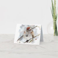 Träd Sparrow Tack