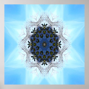 Träd Star..... Poster