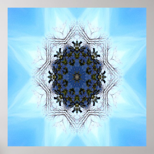 Träd Star..... Poster (Framsidan)