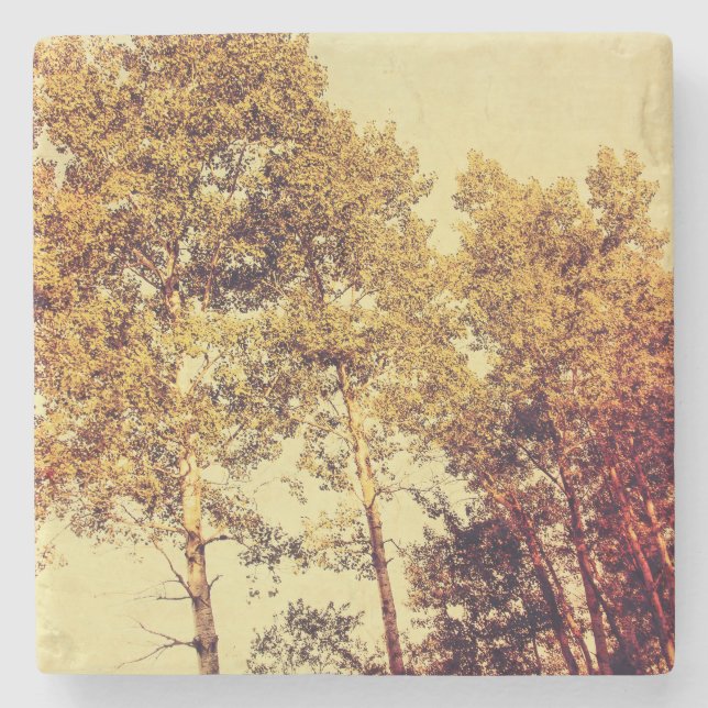 träd stenunderlägg (Framsidan)