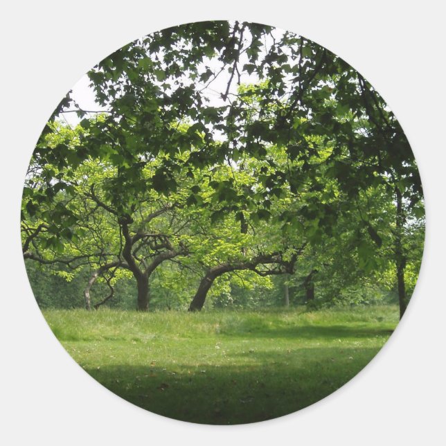 Träd Stickers Runt Klistermärke (Framsida)