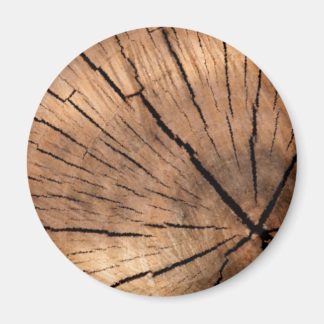 TRÄD STUMP MAGNET (Framsidan)