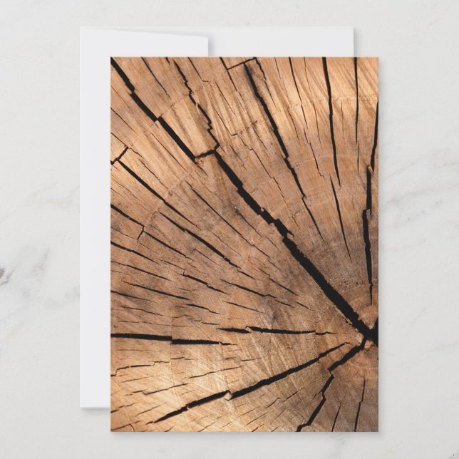 Träd Stump Struktur (Framsida)