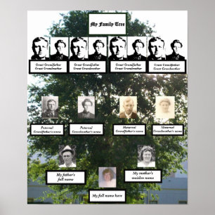 Träd Summertime-foton för familjen Fyra Generation Poster