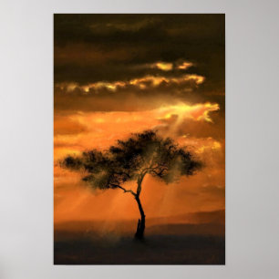 Träd Sunbeams Poster Sunset