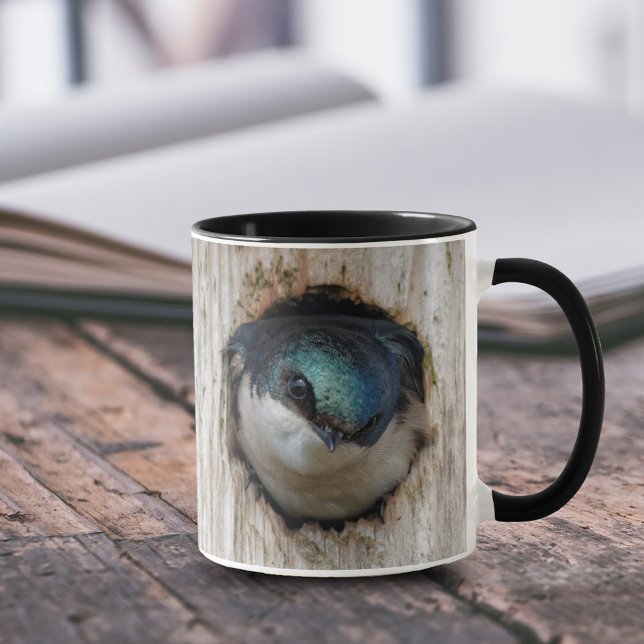 Träd Sväljer i en Nestbox Mugg (Tree Swallow Staring out from Nestbox 11 oz Coffee Mug Cover Photo.)