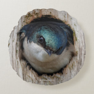 Träd Sväljer i en Nestbox Rund Kudde