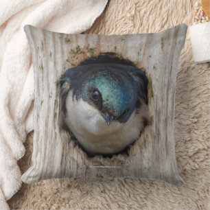 Träd Sväljer Songbird i Nestbox Kudde