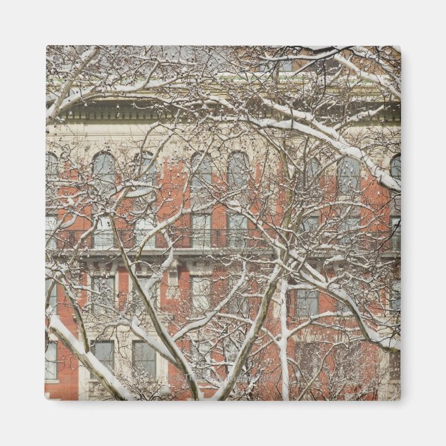 Träd täckt av snö magnet (Framsidan)