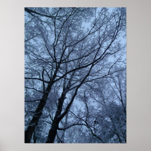 Träd täckt av snö poster