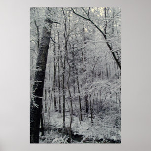 Träd täckt av snö poster
