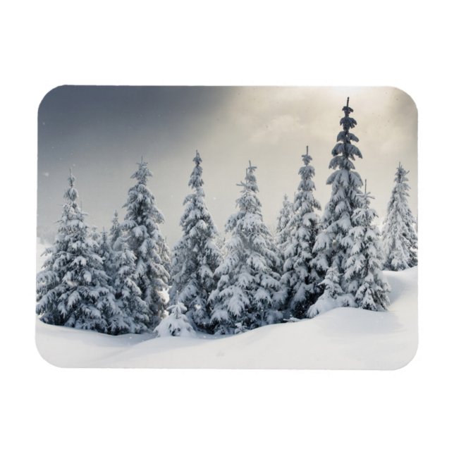 Träd täckt med hoarfrost och Snö Magnet (Horisontell)