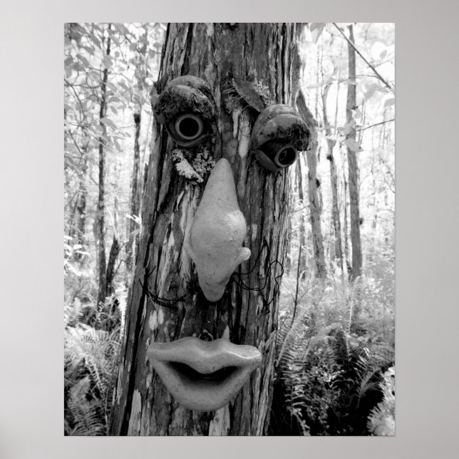 Träd troll på en stor cypress träd. poster (Framsidan)