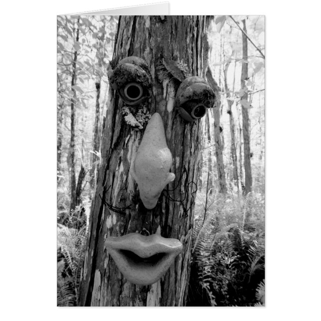 Träd troll på ett Big Cypress träd. Hälsningskort (Framsidan)