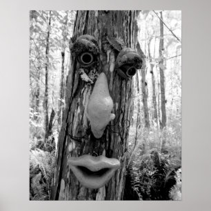 Träd troll på träden Big Cypress. Poster