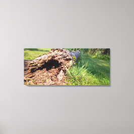 Träd Trunk är sönderdelad Canvastryck