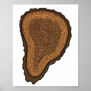 Träd Trunk Kor Section Growth Ringar Träd Poster
