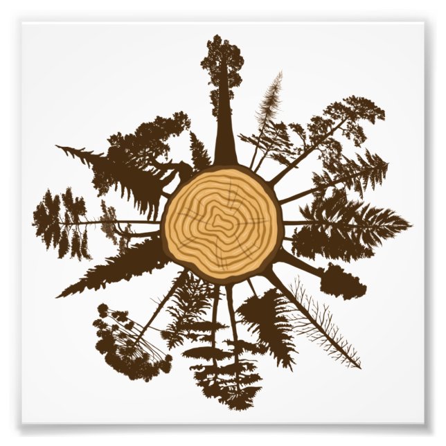 Träd Trunk Kor-sektionen Tillväxt Ringar Gräs Träd Fototryck (Framsidan)