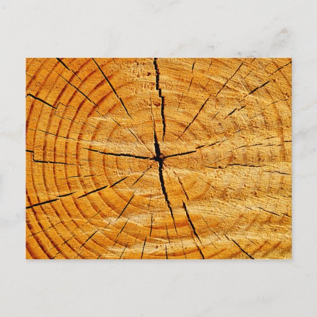 Träd Trunk Vykort (Framsida)