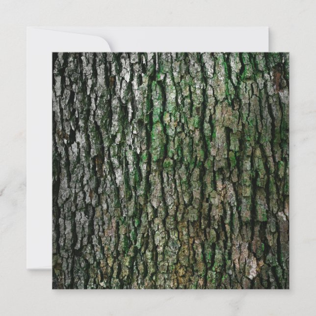 Träd Trunk (Wood Bark) Kort (Framsida)