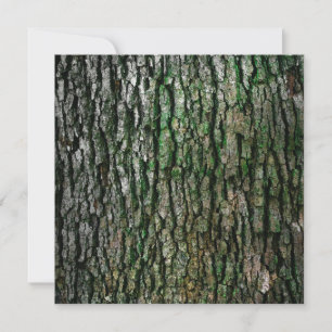 Träd Trunk (Wood Bark) Kort