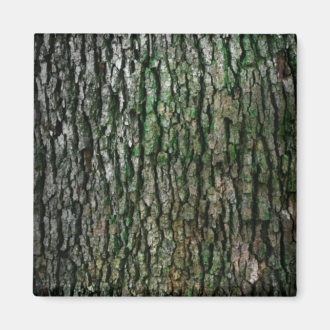 Träd Trunk (Wood Bark) Magnet (Framsidan)