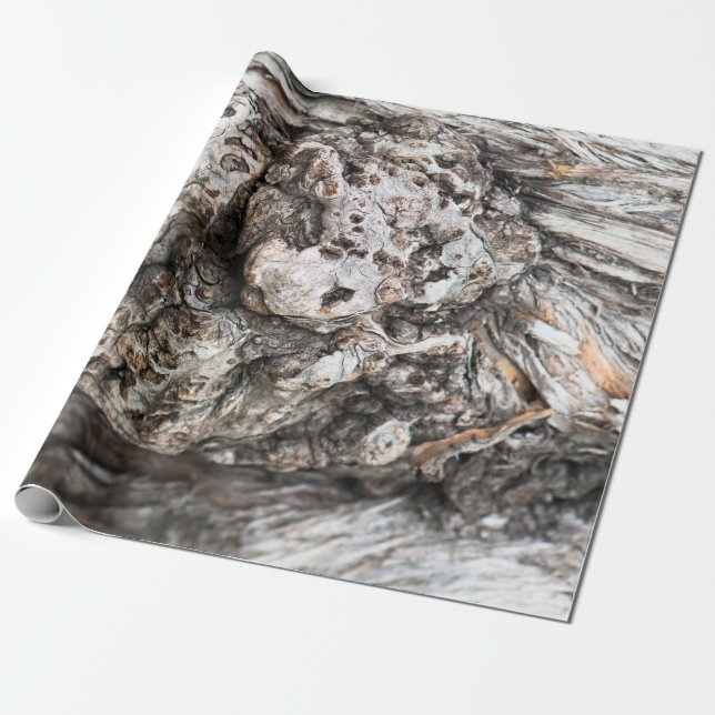 Träd-trunkens knut presentpapper (Utrullad)