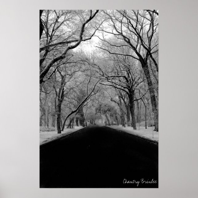 Träd Tunell Poster (Framsidan)