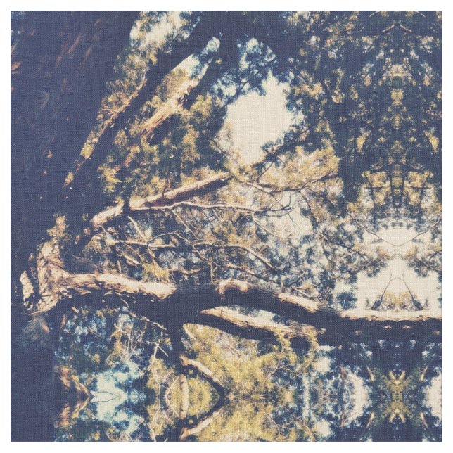 Träd Tyg (Närbild)