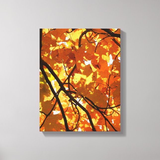 Träd under hösten canvastryck (Framsida)