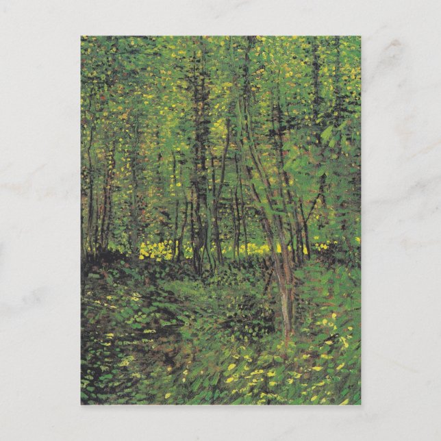 Träd & Undergrowth by Van Gogh Vykort (Framsida)