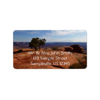 Träd ur röda klippor I vid Canyonlands