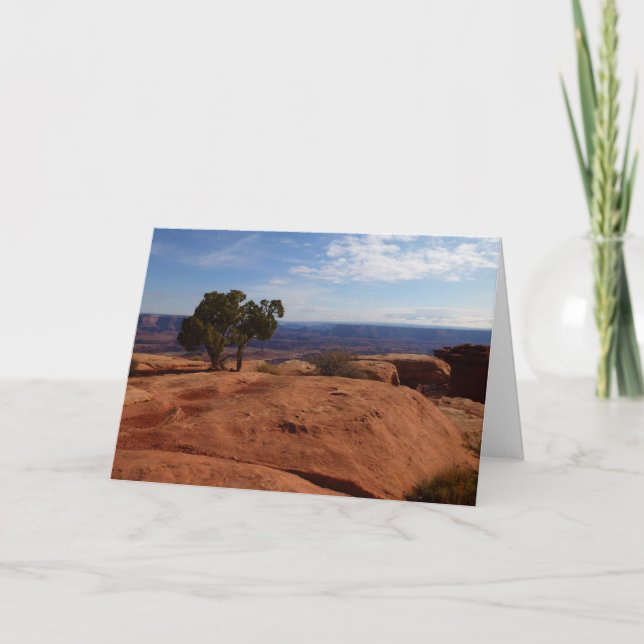 Träd ur röda klippor I vid Canyonlands Anteckningskort (Framsida)