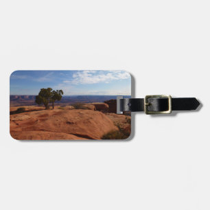 Träd ur röda klippor I vid Canyonlands Bagagebricka