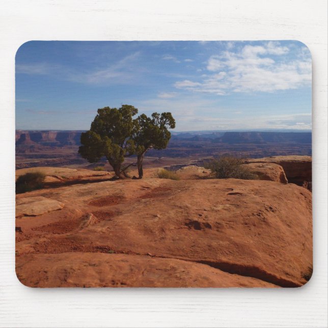 Träd ur röda klippor I vid Canyonlands Musmatta (Framsidan)