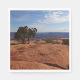 Träd ur röda klippor I vid Canyonlands Pappersservett