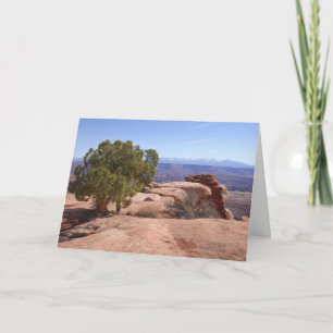 Träd ur röda klippor II vid Canyonlands Anteckningskort