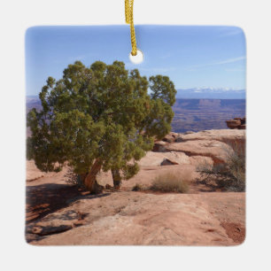 Träd ur röda klippor II vid Canyonlands Julgransprydnad Keramik