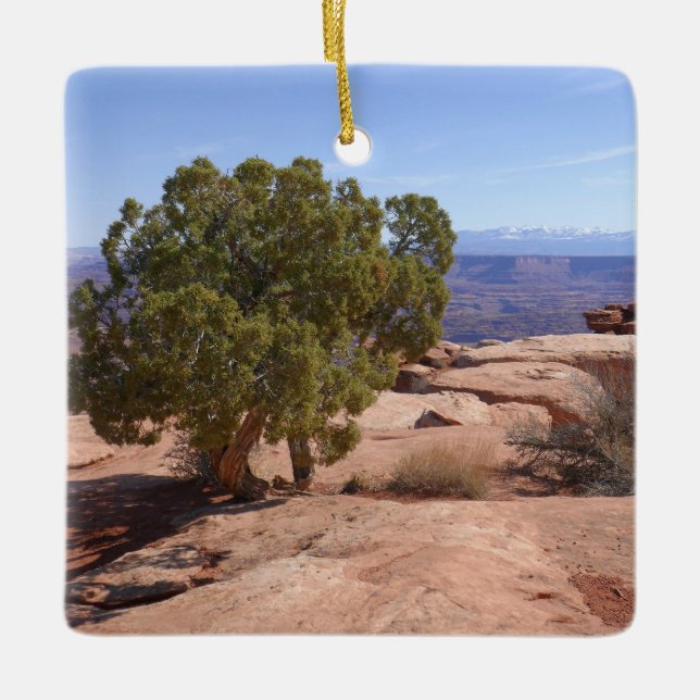 Träd ur röda klippor II vid Canyonlands Julgransprydnad Keramik (Framsida)