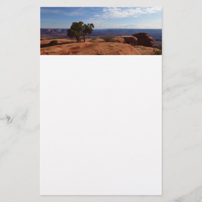 Träd ut ur Röda Sten i Canyonlands nationalpark Brevpapper (Framsida)