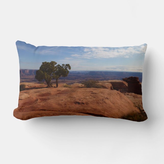 Träd ut ur Röda Sten i Canyonlands nationalpark Lumbarkudde (Framsida)